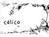 Como comenzó la zaga y andaduras de Cálico Electrónico...