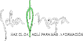 Ingresa al Sitio de la Fundacion SELVA NEGRA