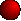 bee1.gif