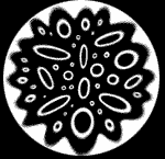esfe4.gif