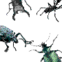 fd-bugs.gif