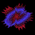 fractal.gif