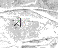 indexanim.gif