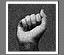 manotgris.gif