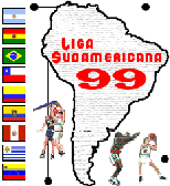 ir a liga sudamericana oficial